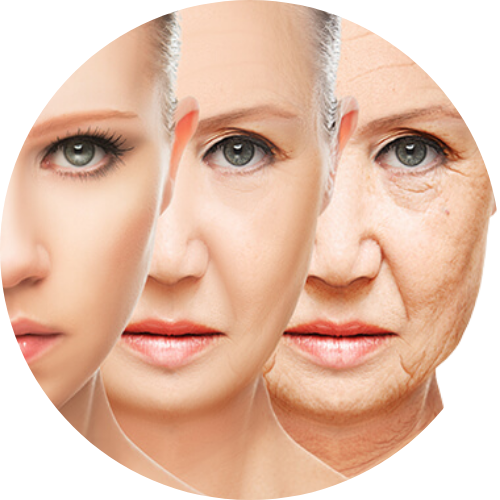 Anti Aging
